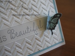 3d Butterfly on card